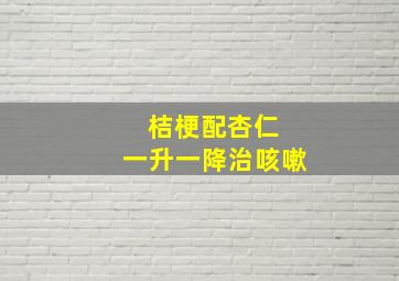 桔梗配杏仁 一升一降治咳嗽